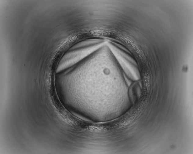X0000098200690200805081112