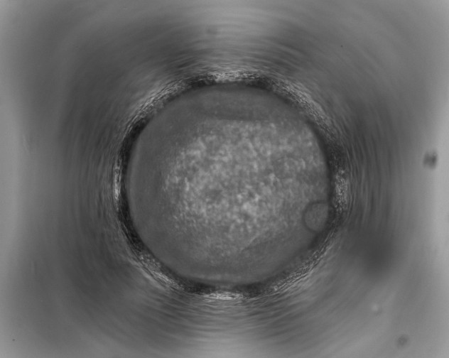 X0000098200691200805081112