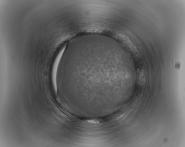 X0000098200692200805081112