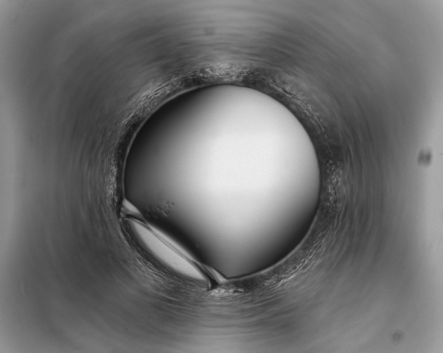 X0000098200693200805081112
