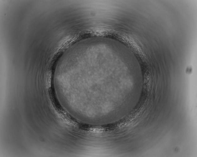 X0000098200694200805081112