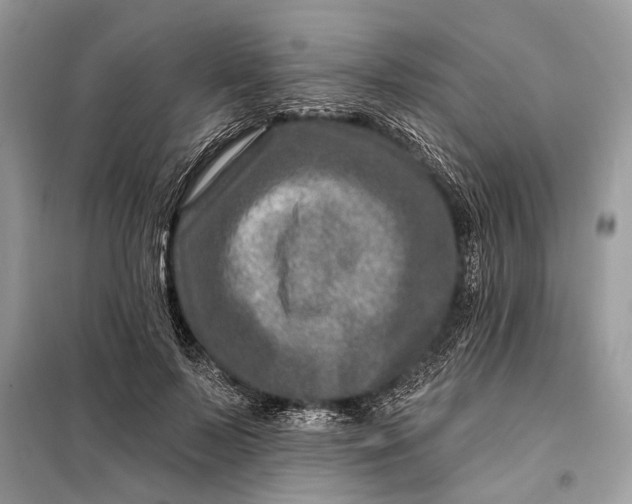 X0000098200695200805081112