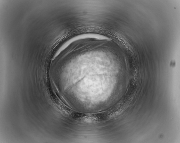 X0000098200696200805081112