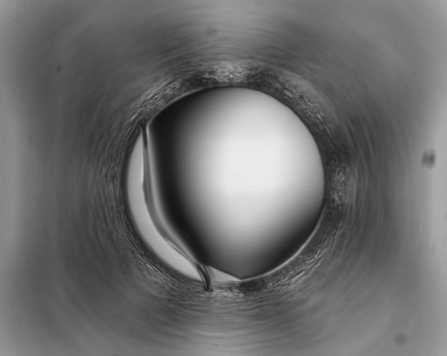X0000098200697200805081112
