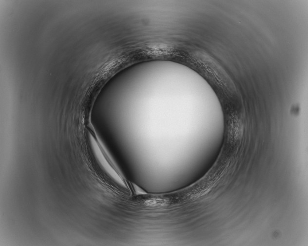 X0000098200700200805081112