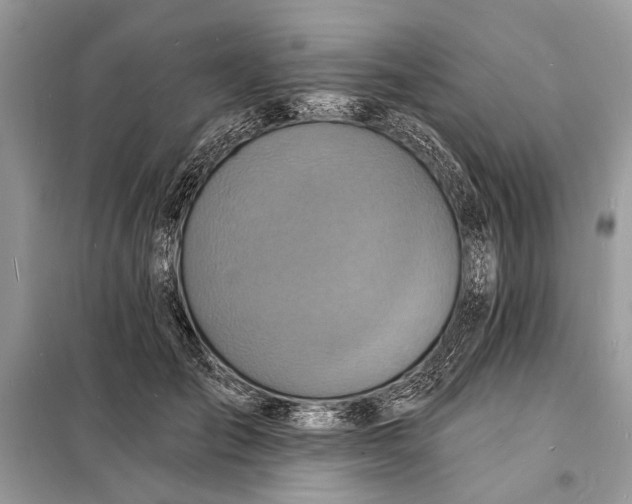 X0000098200701200805081112
