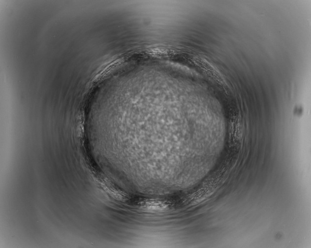 X0000098200702200805081112