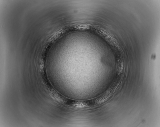 X0000098200704200805081111