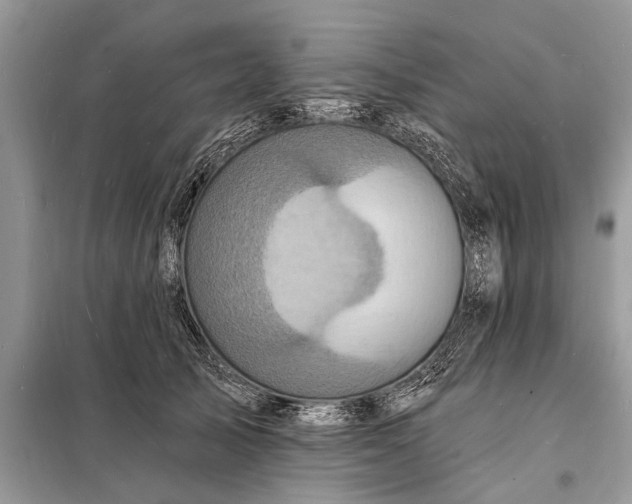 X0000098200705200805081111