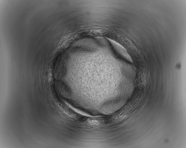 X0000098200706200805081111