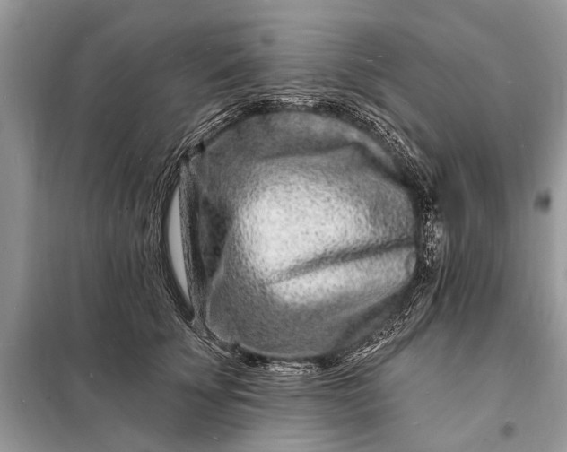 X0000098200707200805081111