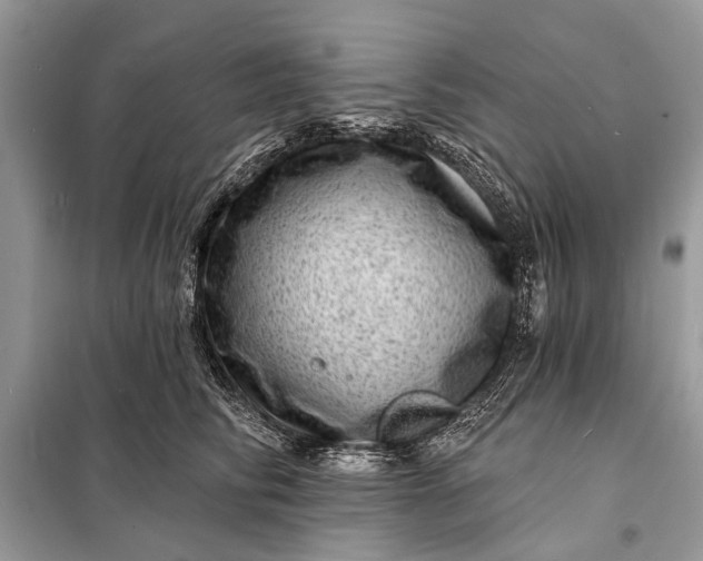 X0000098200710200805081111
