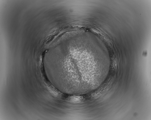 X0000098200711200805081111