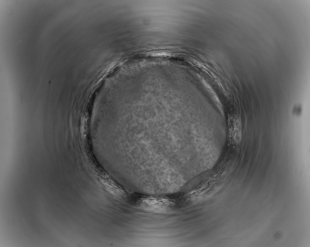 X0000098200712200805081111