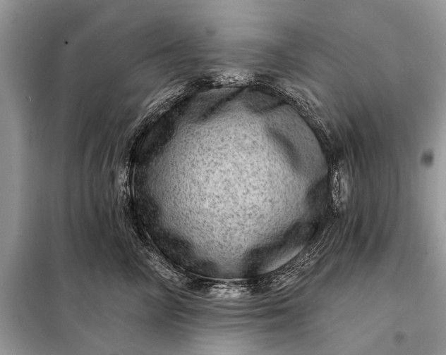 X0000098200714200805081111