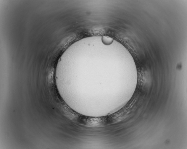 X0000098200717200805081111