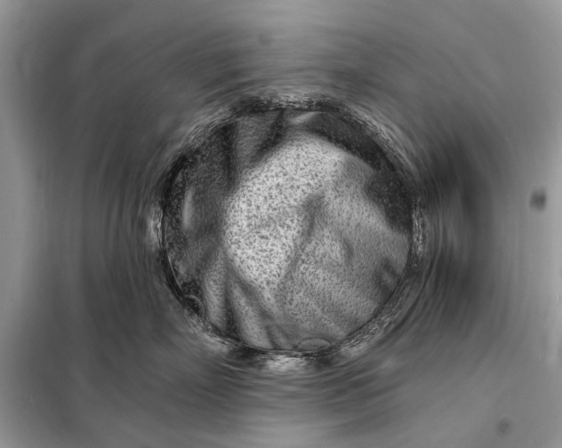 X0000098200718200805081111