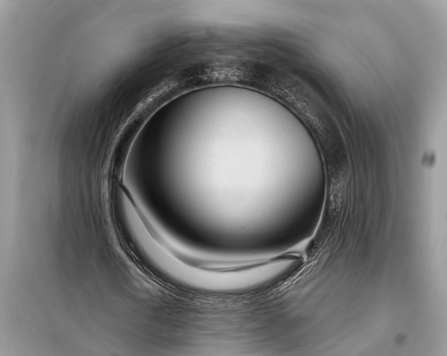 X0000098200722200805081110