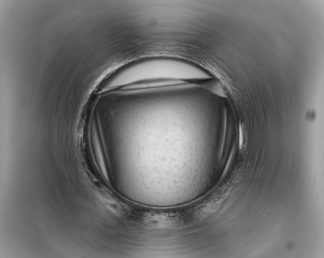 X0000098200723200805081110