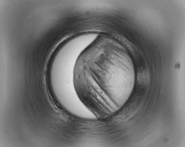 X0000098200724200805081110
