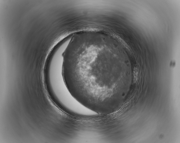 X0000098200726200805081110