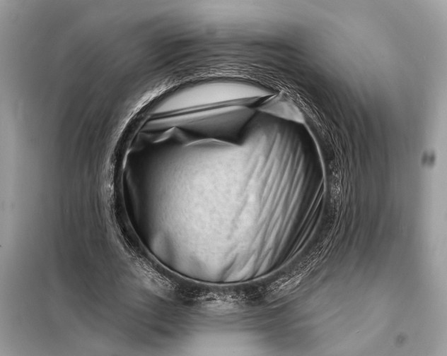 X0000098200727200805081110