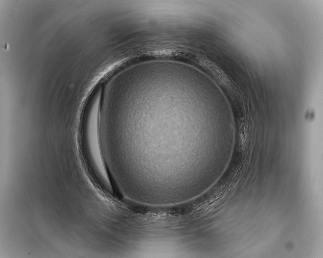 X0000098200728200805081110