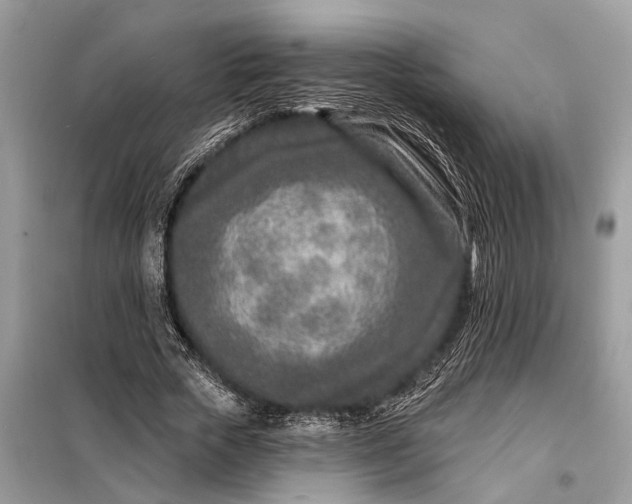 X0000098200729200805081110