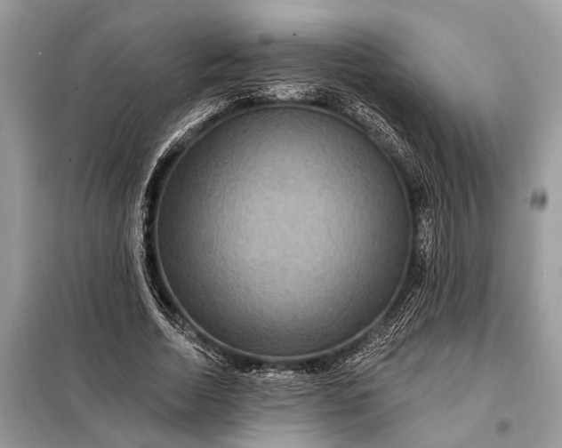 X0000098200730200805081111
