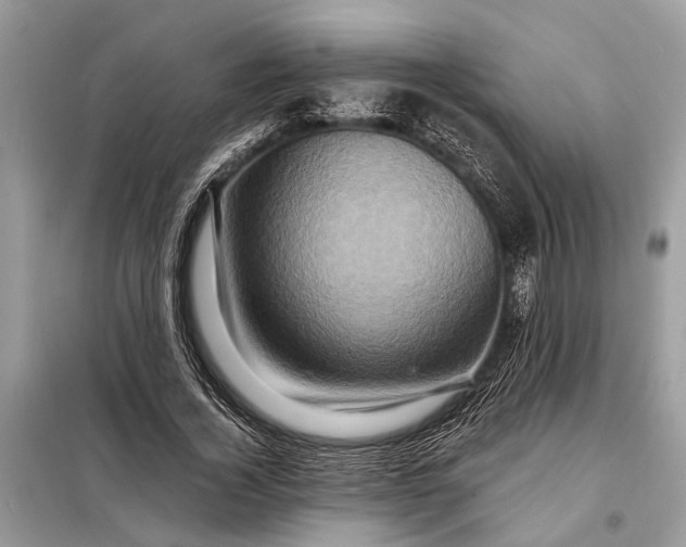 X0000098200732200805081111
