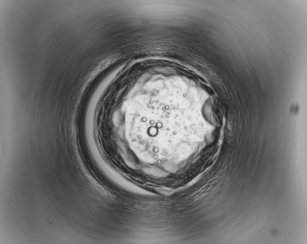 X0000098200734200805081111