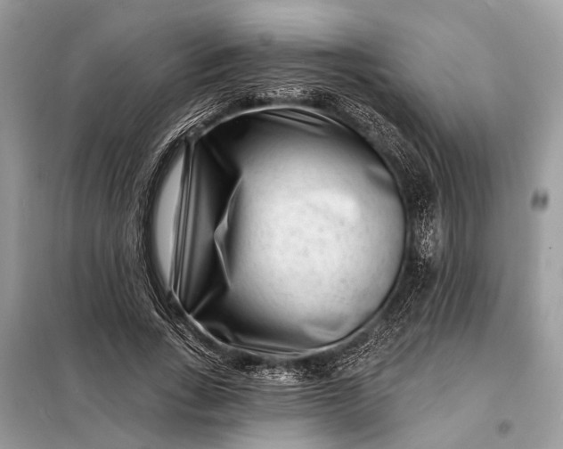 X0000098200735200805081111