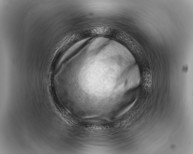 X0000098200738200805081111