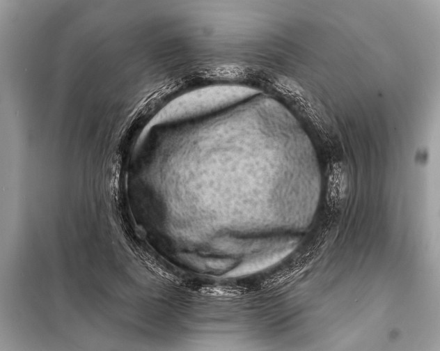 X0000098200739200805081111