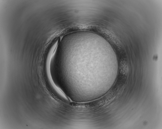 X0000098200740200805081111