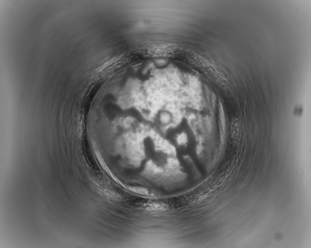 X0000098200741200805081111