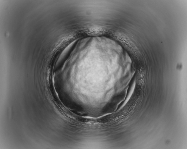 X0000098200742200805081111