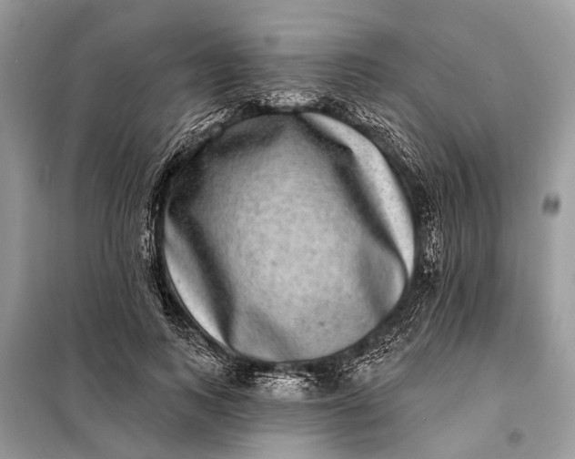 X0000098200743200805081111