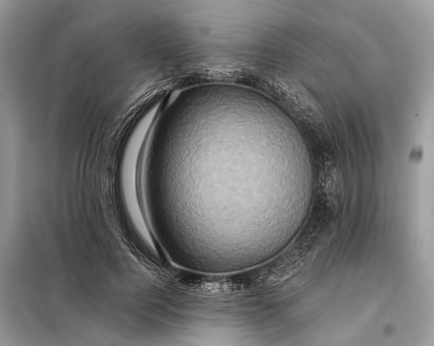 X0000098200744200805081111