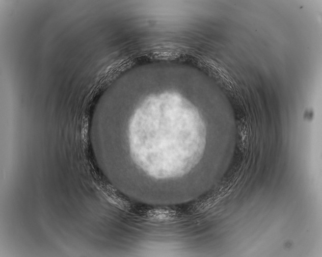 X0000098200745200805081111