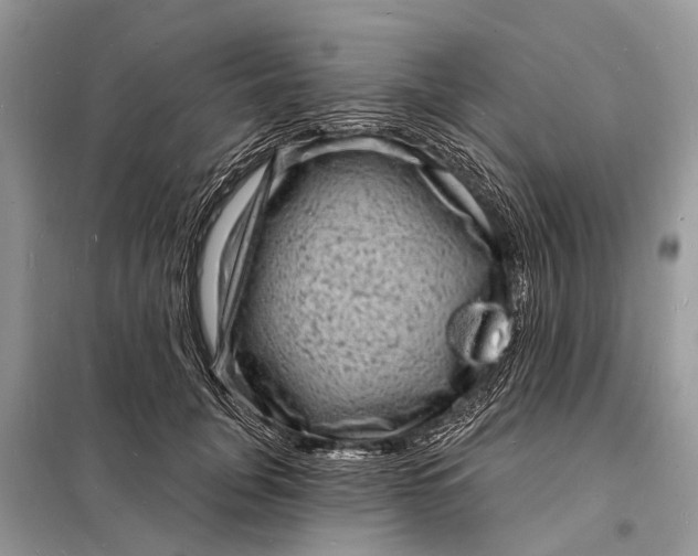 X0000098200751200805081111