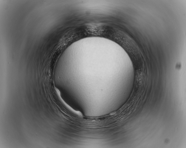 X0000098200752200805081111