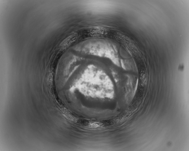 X0000098200753200805081111