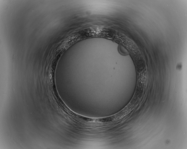 X0000098200754200805081111