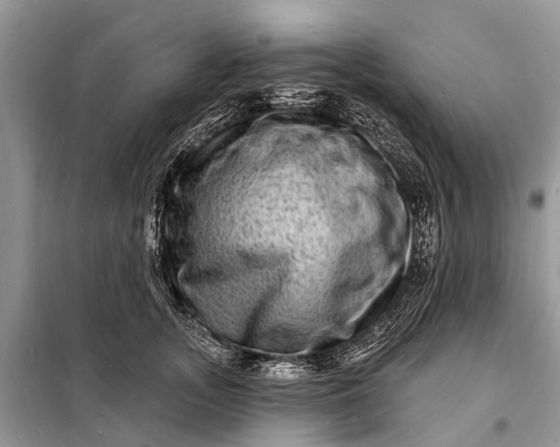 X0000098200755200805081111