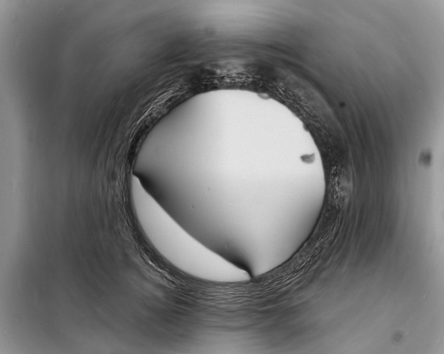 X0000098200756200805081111