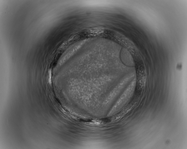 X0000098200758200805081111