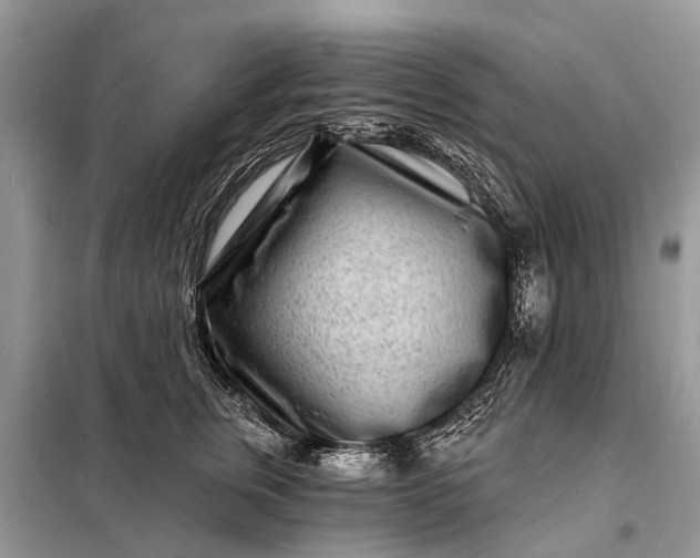 X0000098200759200805081111