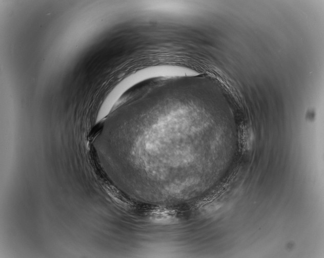 X0000098200760200805081111