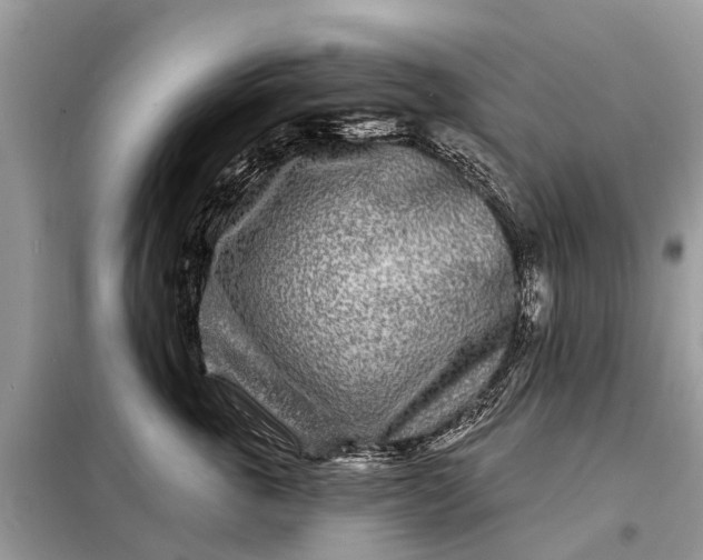 X0000098200763200805081111